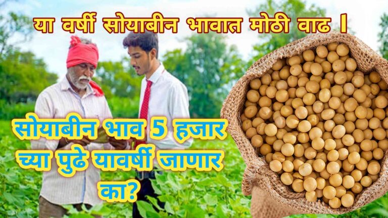 Soybean price in India