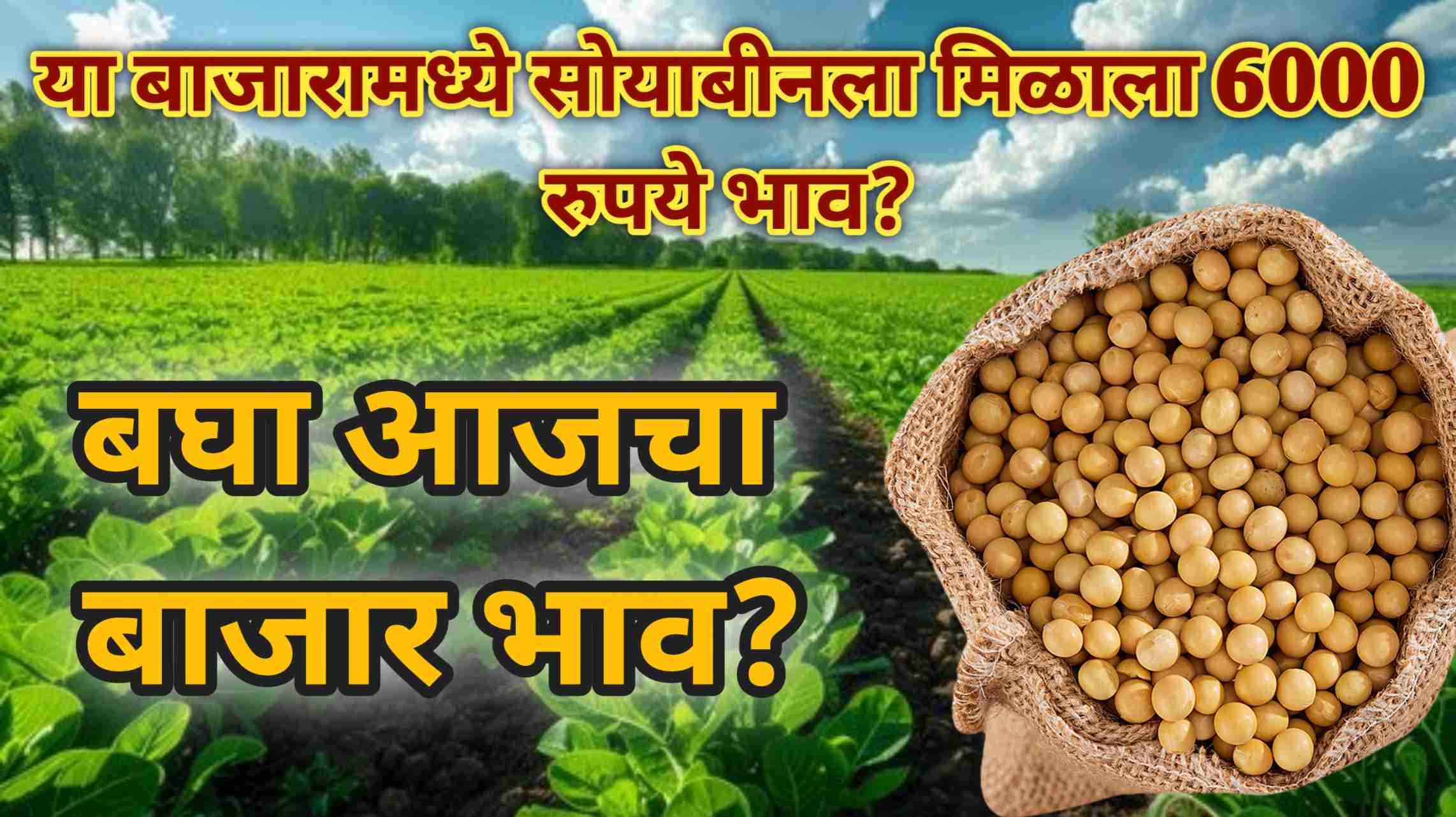 Soyabean Market Rate Today